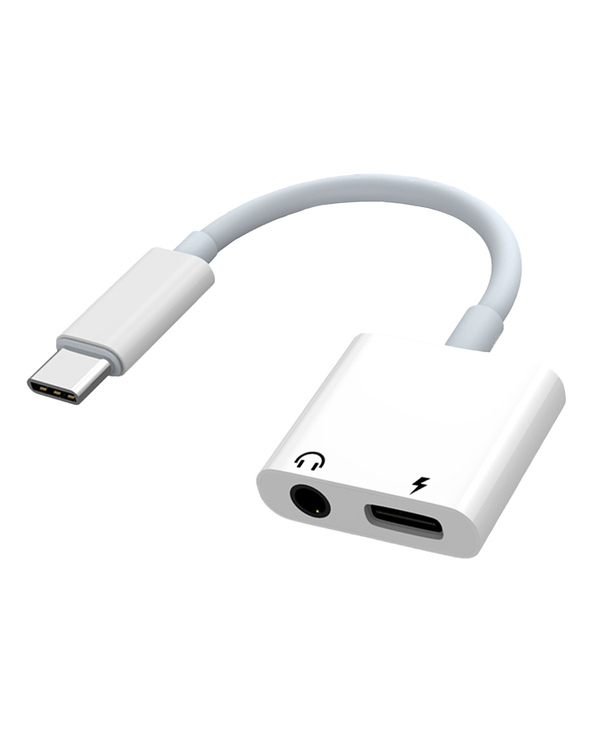 Samsung Adaptateur Type C vers ports duo Jack & USB C