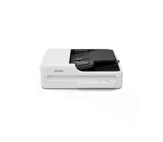 Epson WorkForce DS-1730 Scanner à plat et chargeur automatique 1200 x 1200 DPI A4 Noir, Blanc