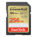 SanDisk SDSDXW2-256G-GNCIN 256 Go SDXC Classe 10