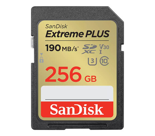 SanDisk SDSDXW2-256G-GNCIN 256 Go SDXC Classe 10