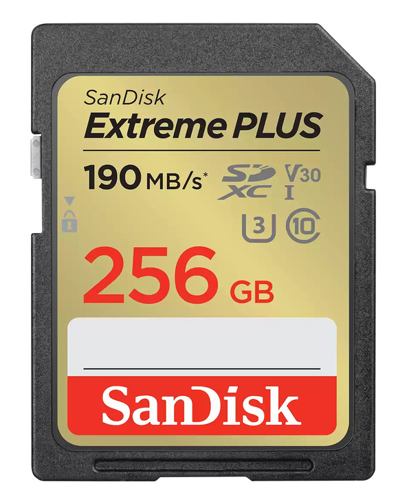 SanDisk SDSDXW2-256G-GNCIN 256 Go SDXC Classe 10