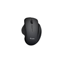 Equip 245121 souris Universel Droitier RF sans fil + Bluetooth Optique 1600 DPI