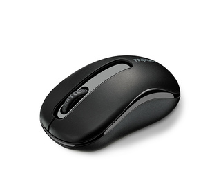Rapoo M10 Plus souris Bureau Ambidextre RF sans fil Optique 1000 DPI