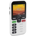 Doro Leva X10 6,1 cm (2.4") 117 g Noir, Blanc Téléphone pour seniors