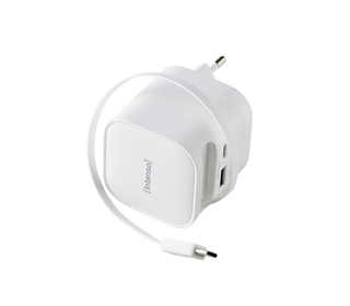 Intenso 7806520 adaptateur de puissance & onduleur Intérieure 65 W Noir