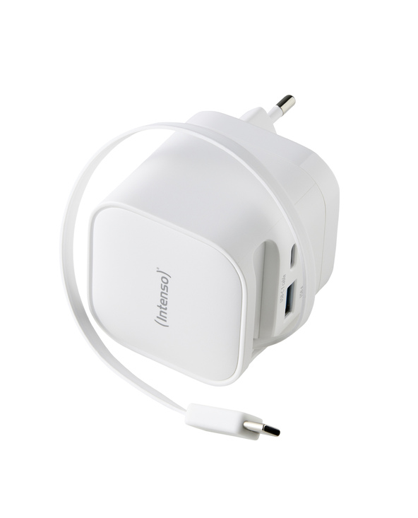 Intenso 7806520 adaptateur de puissance & onduleur Intérieure 65 W Noir