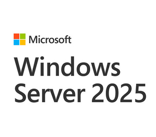 Microsoft Windows Server 2025 Licence d'accès client 1 licence(s)