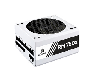 Corsair RM750X 750 W ATX 80 PLUS Gold Entièrement modulaire PC