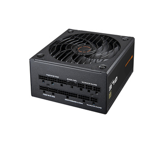 COUGAR CGRGLE-1000 1000 W ATX 80 PLUS Gold Entièrement modulaire PC