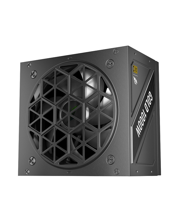 1STPLAYER NGDP-GLD-1000-BK-EU 1000 W ATX 80 PLUS Gold Entièrement modulaire PC