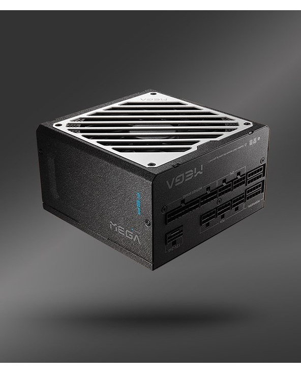 FSP MEGA-1000GM 1000 W ATX 80 PLUS Gold Entièrement modulaire PC