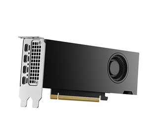 DELL 490-BKLT carte graphique NVIDIA RTX 2000 Ada 16 Go GDDR6