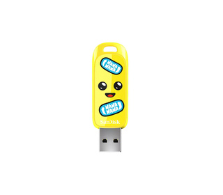 SanDisk SDCZIF-256G-G46 lecteur USB flash 256 Go USB Type-A 3.2 Gen 1 (3.1 Gen 1) Jaune