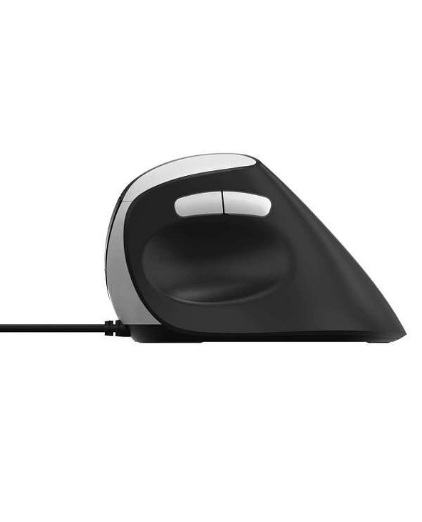 Rapoo EV200 souris Bureau Droitier USB Type-A Optique 1600 DPI
