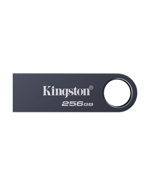 Kingston Technology DataTraveler 256 Go SE9 G3 - Nickel foncé