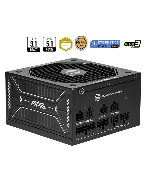 MSI MAG A750GLS PCIE5 750 W ATX 80 PLUS Gold Entièrement modulaire PC