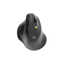 Port Designs 910200 souris Bureau Droitier RF sans fil + Bluetooth Optique 1600 DPI
