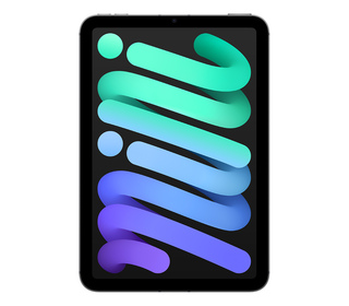 Apple iPad MINI 8.3" 128 Go Gris