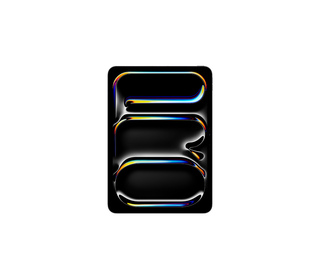 Apple iPad PRO 11" 256 Go Noir