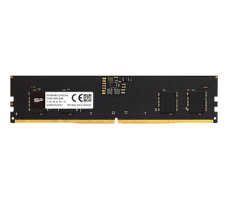 Silicon Power SP016GBLVU560F02 16 Go 1x16 Go DDR5 5600 MT/s 288-pin DIMM ECC