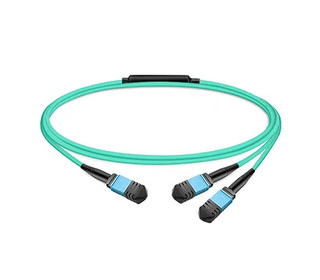 Nvidia MFP7E20-N003 câble InfiniBand et à fibres optiques 3 m MPO 2x MPO Bleu