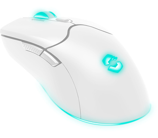 SPEEDLINK SL-680102-WT souris Gaming Droitier RF Wireless + USB Type-A Optique 4800 DPI