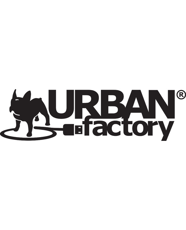 Urban Factory Câble DP Male vers DVI Male 1.80m - Noir DisplayPort