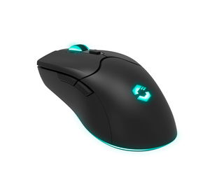 SPEEDLINK SL-680102-BK souris Gaming USB Type-A 4800 DPI