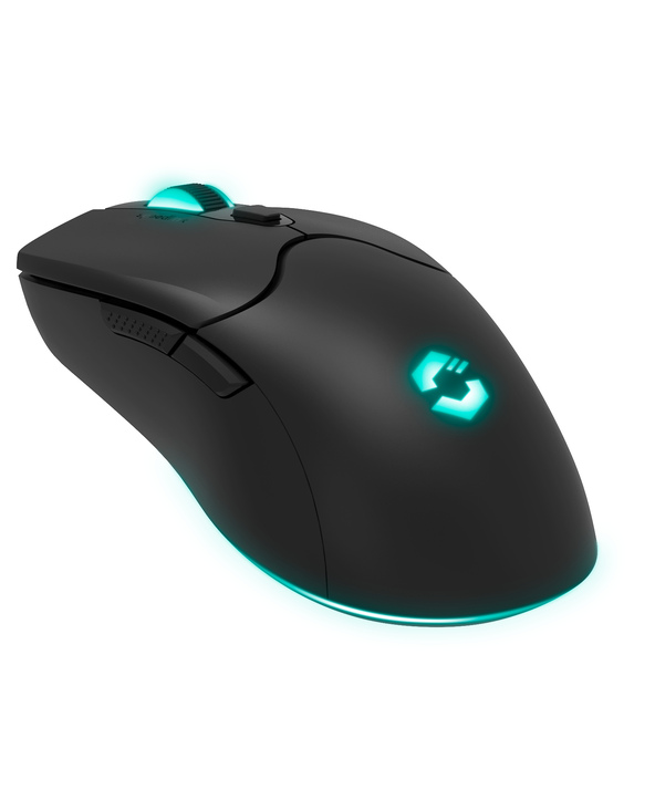 SPEEDLINK SL-680102-BK souris Gaming USB Type-A 4800 DPI