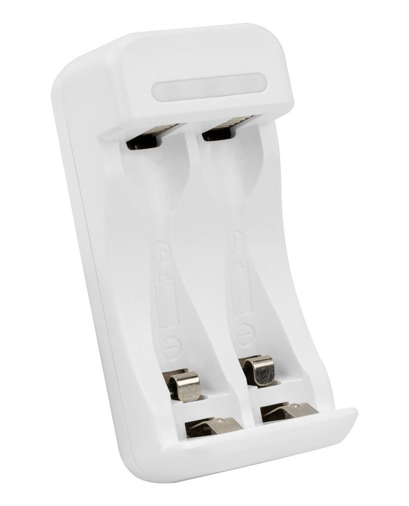 Ansmann Basic II chargeur de batterie Pile domestique CC