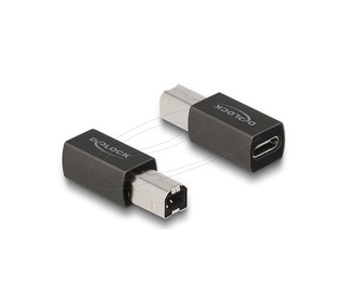 DeLOCK Adaptateur USB 2.0 de USB Type-C femelle à Type-B mâle