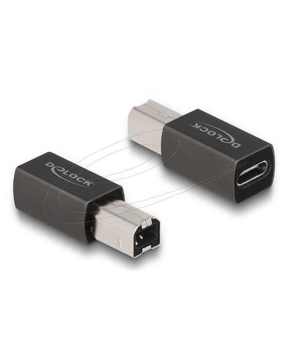 DeLOCK Adaptateur USB 2.0 de USB Type-C femelle à Type-B mâle