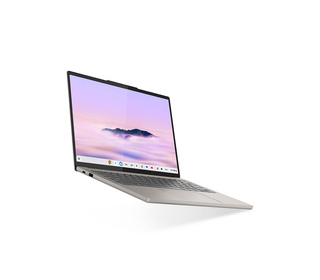 Lenovo CHROME 14M9610 14" 12 Go Gris