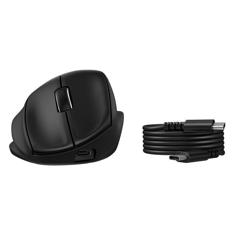 HP Tilt Ergonomic Mouse 725M Tilt Ergonomic Mouse 725M EURO souris