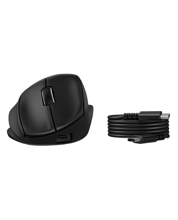HP Tilt Ergonomic Mouse 725M Tilt Ergonomic Mouse 725M EURO souris