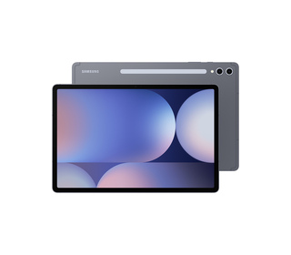 Samsung Galaxy Tab S S10+ (12,4", WI-FI) 12.4" 256 Go Gris