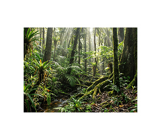 HP OMNIBOOK 3 LAPTOP AI 17-DN0006NFX 17.3" AMD Ryzen 5 8 Go Gris, Argent 512 Go