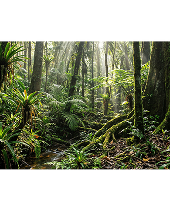 HP OMNIBOOK 3 LAPTOP AI 17-DN0006NFX 17.3" AMD Ryzen 5 8 Go Gris, Argent 512 Go