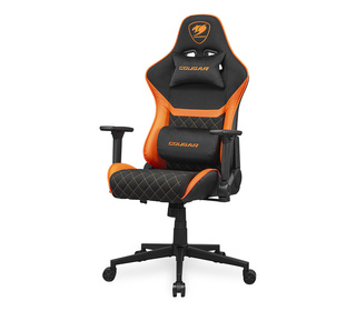 103955901