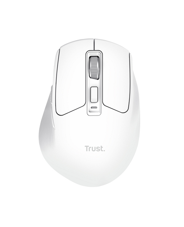 Trust Niven souris Bureau Droitier RF sans fil + Bluetooth 3200 DPI