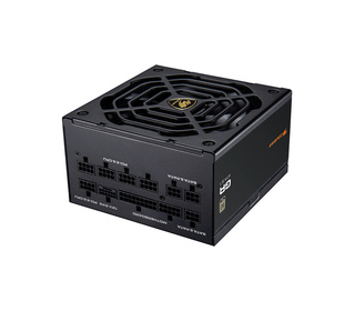 COUGAR CGRGDN-1000 1000 W ATX 80 PLUS Gold Entièrement modulaire PC