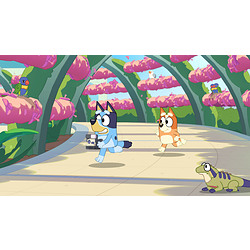 Gameloft Bluey's Happy Snaps : Day One Deluxe Edition