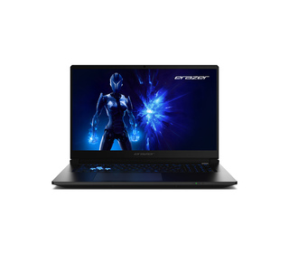 ERAZER Erazer DEFENDER 17 P1 (MD 62754) FR 17.3" Intel Core 9 32 Go Noir 2 To