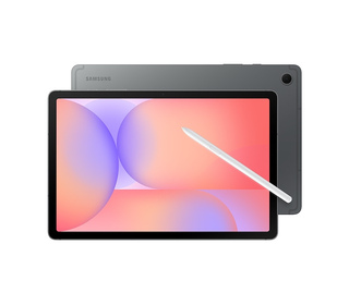 Samsung GALAXY TAB S10 LITE ENTERPRISE EDITION 10.9" 128 Go Gris