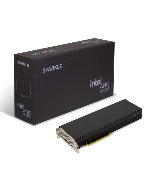 Sparkle Technology Intel Arc Pro B60 24GB Passive 24 Go GDDR6