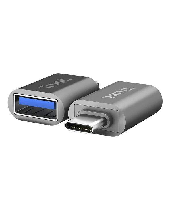 Trust 26221 adaptateur graphique USB Argent