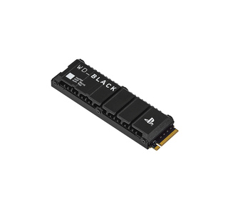 SanDisk SN850P 4 To M.2 PCI Express 4.0 NVMe