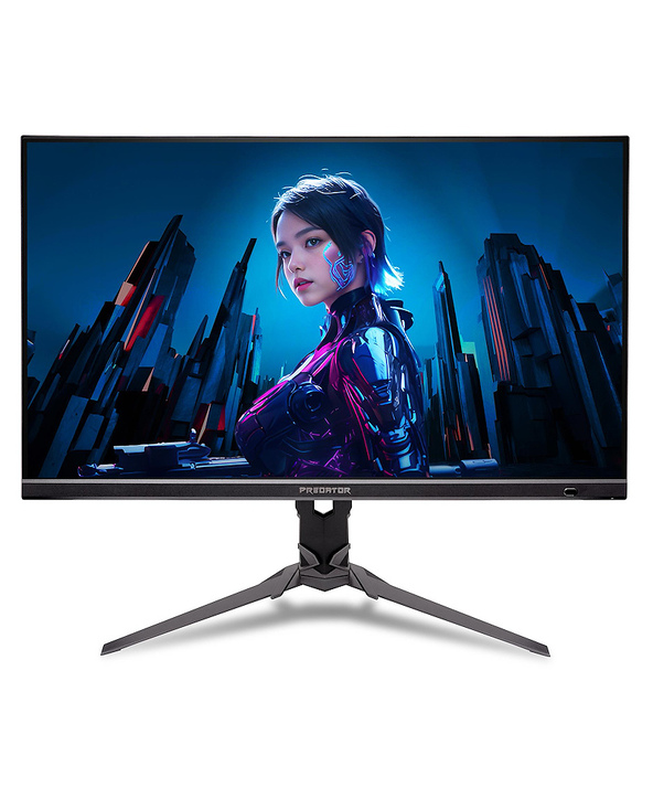 Acer Predator XB3 UM.HX3EE.501 27" 4K Ultra HD 0,5 ms Noir