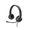 Lindy Casque de bureau USB-C