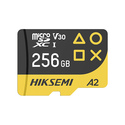Hiksemi FUTURE 256 Go MicroSDXC TLC Classe 10